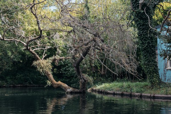 Interventions esthétiques personnalisées à marseille : le chirurgien idéal