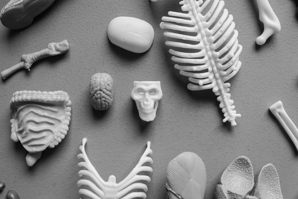 Explorez le Pouvoir du Thé Vert : Réduction Effective du Risque de Cancer et Découverte de ses Propriétés Médicinales