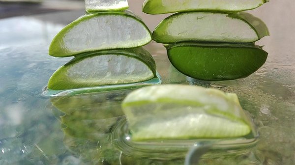 Aloe vera produits forever : santé, beauté et bien-être naturels